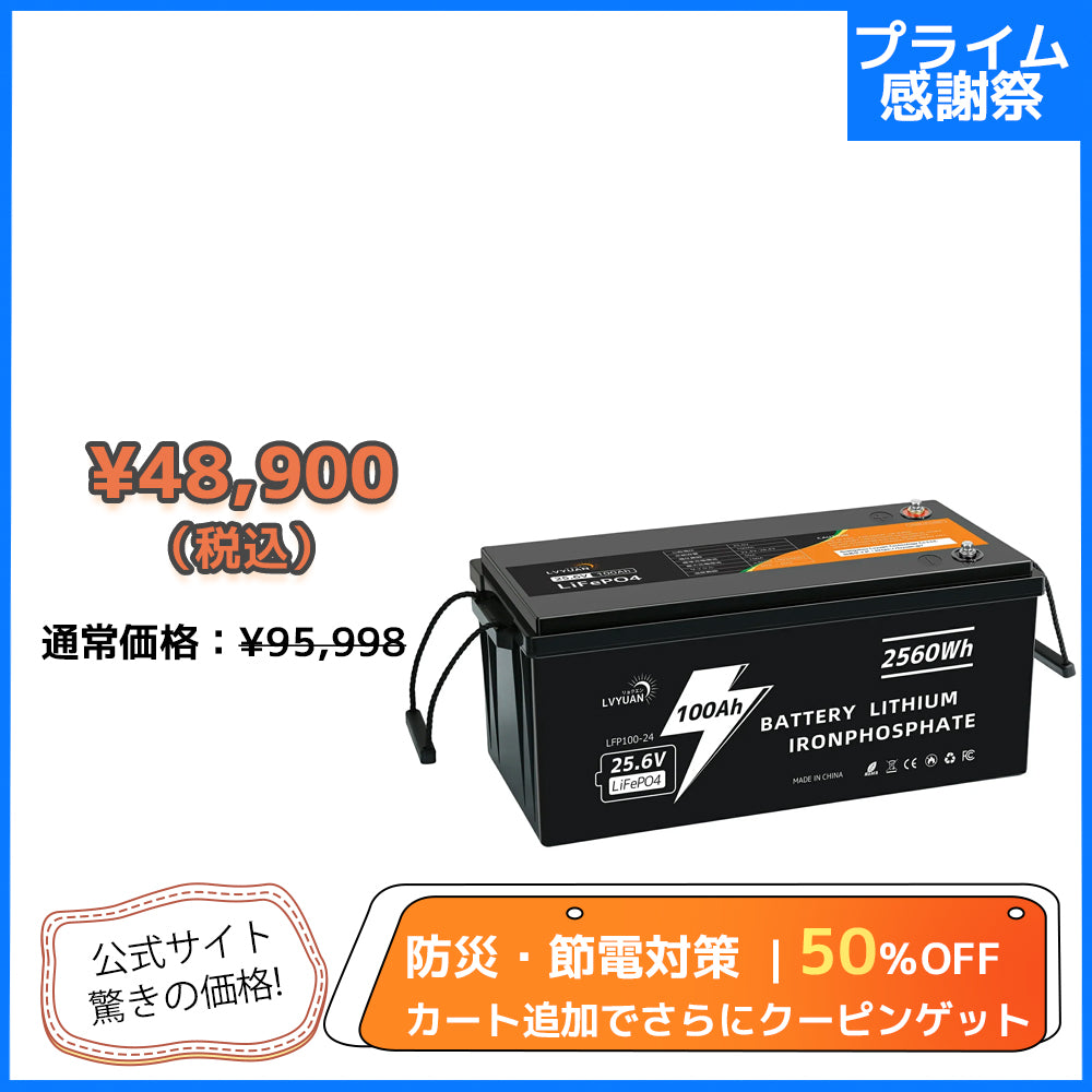 LVYUAN 25.6V/100Ah 2.56kWhリン酸鉄リチウムイオンバッテリー