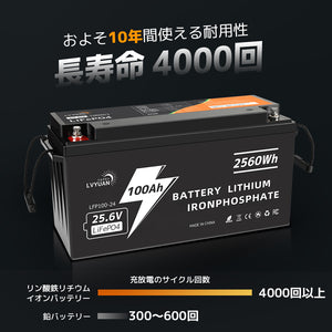 LVYUAN 25.6V/100Ah 2.56kWhリン酸鉄リチウムイオンバッテリー