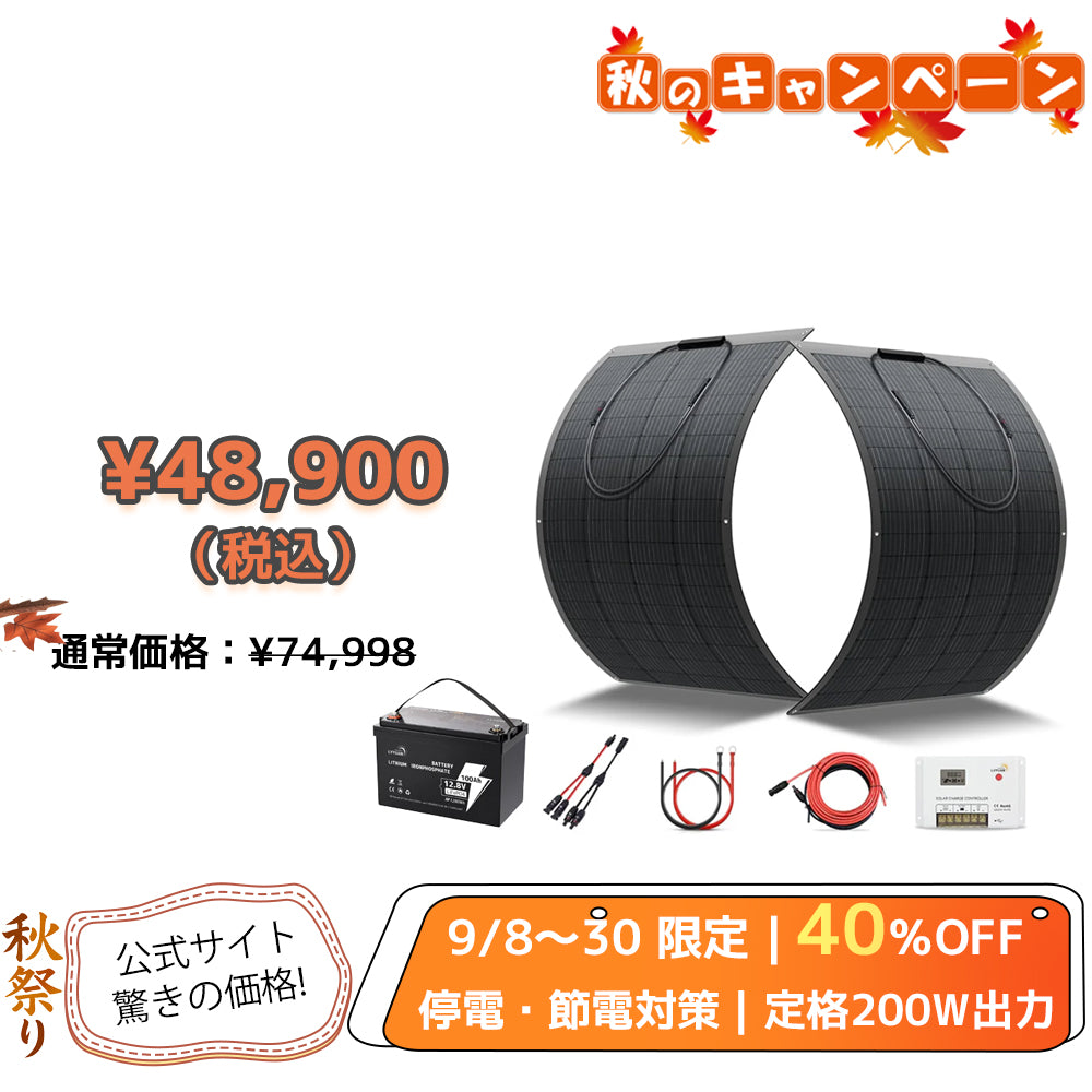 LVYUAN 100W フレキシブルソーラーパネル発電キット