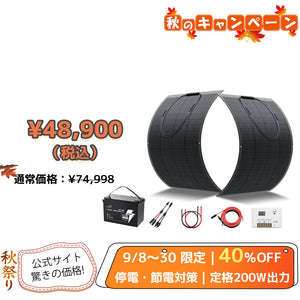 LVYUAN 100W フレキシブルソーラーパネル発電キット