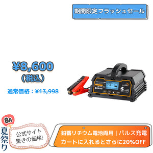 LVYUAN パルスバッテリー充電器 20A  12V・24V鉛蓄 / 12.8Vリチウム電池両用