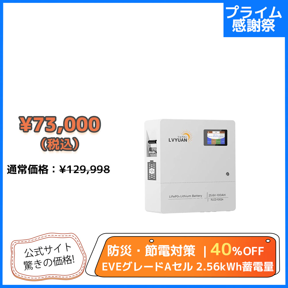 LVYUAN 25.6V/100Ah 2.56kWhリン酸鉄リチウムイオンバッテリー