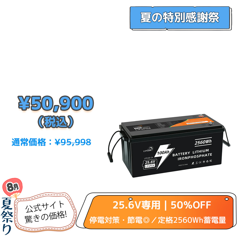 LVYUAN 25.6V/100Ah 2.56kWhリン酸鉄リチウムイオンバッテリー