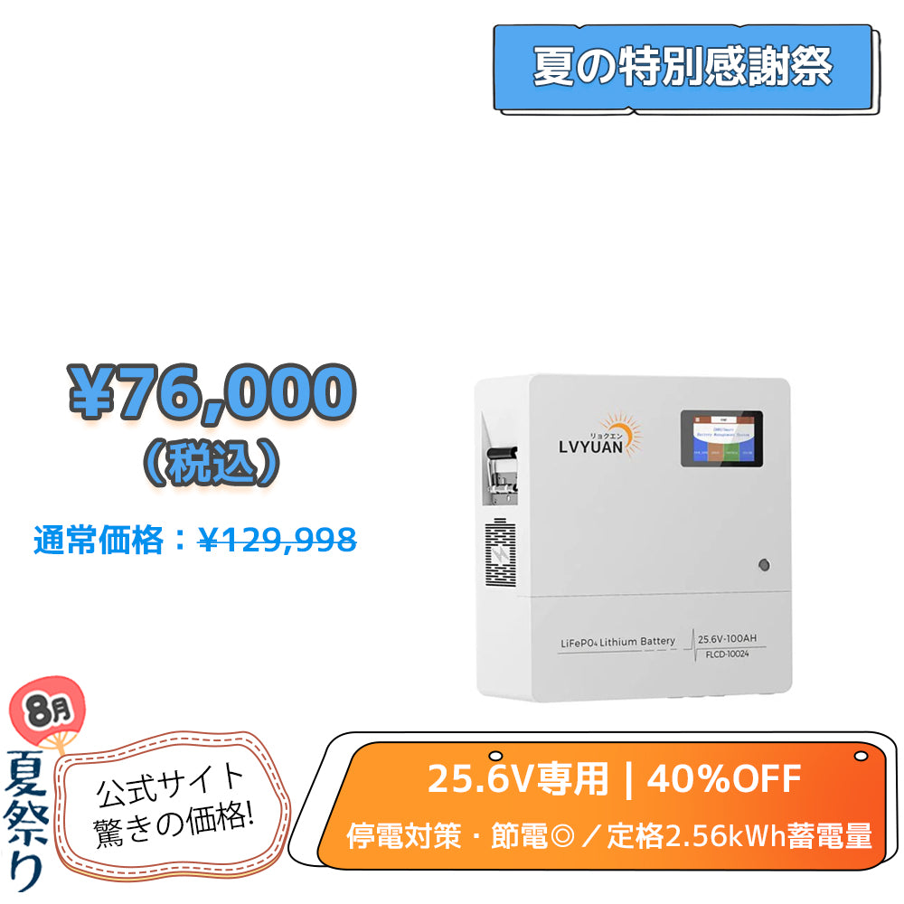 LVYUAN 25.6V/100Ah 2.56kWhリン酸鉄リチウムイオンバッテリー