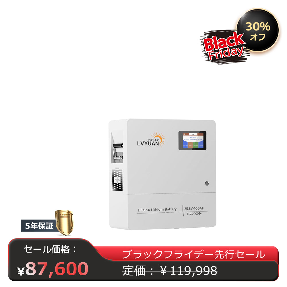 LVYUAN 25.6V/100Ah 2.56kWhリン酸鉄リチウムイオンバッテリー