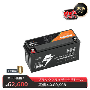 LVYUAN 25.6V/100Ah 2.56kWhリン酸鉄リチウムイオンバッテリー