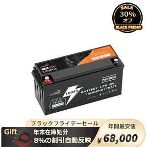 LVYUAN 25.6V/100Ah 2.56kWhリン酸鉄リチウムイオンバッテリー - LVYUAN（リョクエン）公式ショップ