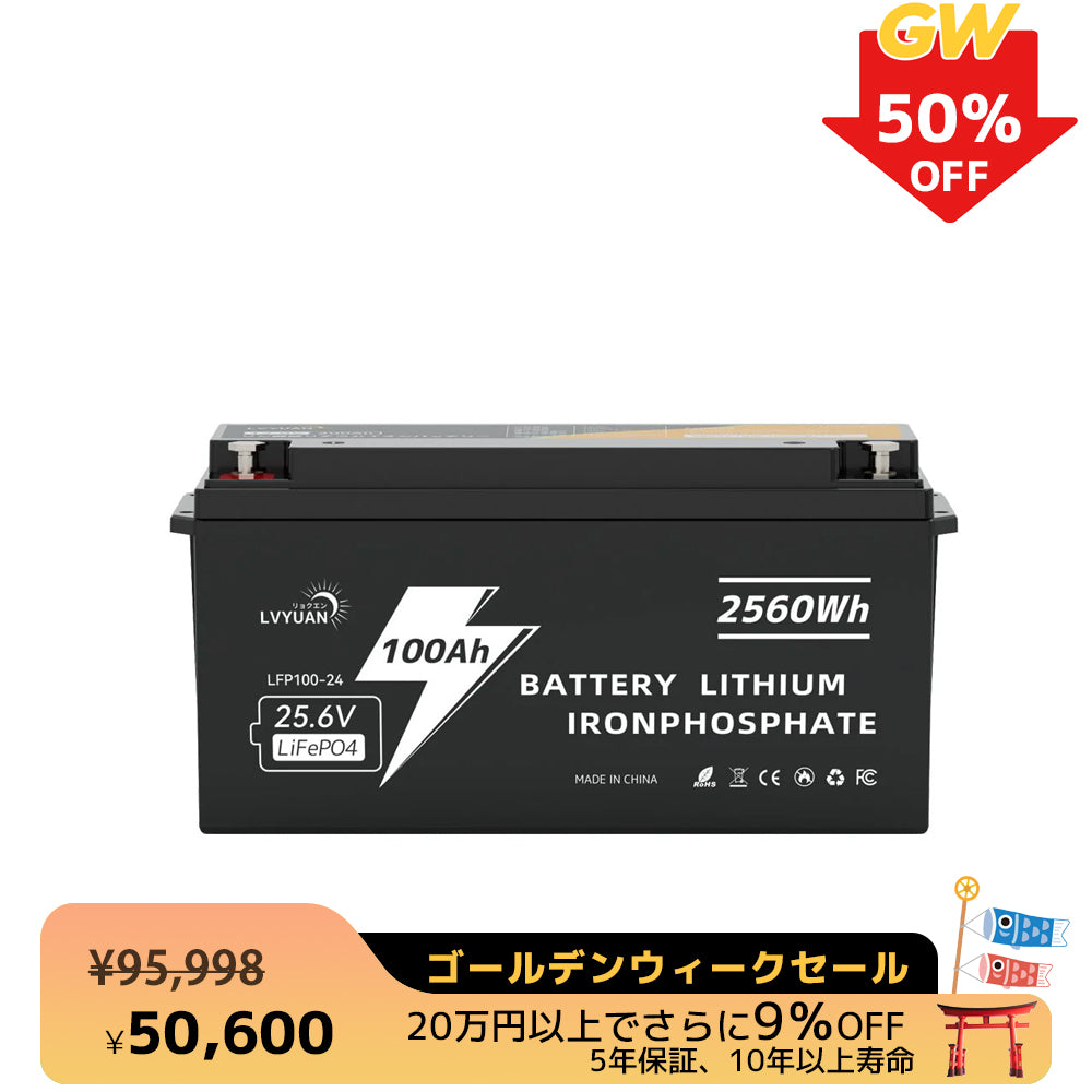 LVYUAN 25.6V/100Ah 2.56kWhリン酸鉄リチウムイオンバッテリー