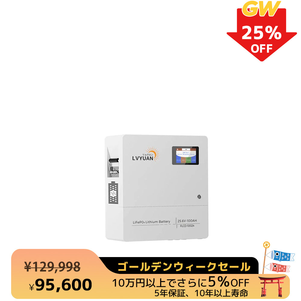 LVYUAN 25.6V/100Ah 2.56kWhリン酸鉄リチウムイオンバッテリー