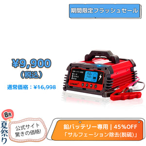 LVYUAN パルスバッテリー充電器 25A  12V・24V鉛バッテリー専用