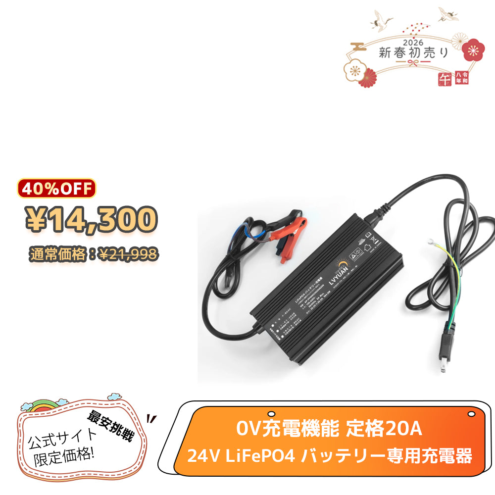 LVYUAN 29.2V 20A リン酸鉄リチウムイオンバッテリー専用充電器