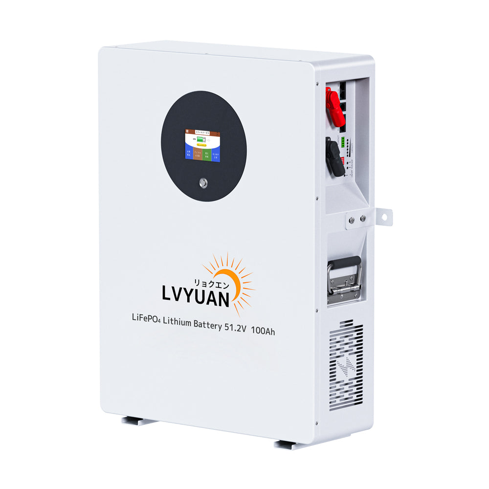 LVYUAN 51.2V/100Ah 5.12kWhリン酸鉄リチウムイオンバッテリー