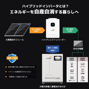 LVYUAN 10000W単相3線式ハイブリッド発電・蓄電システム（300ah）