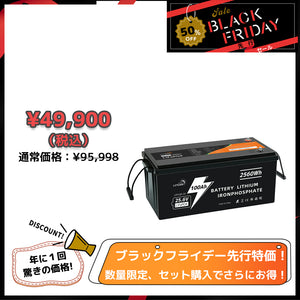 LVYUAN 25.6V/100Ah 2.56kWhリン酸鉄リチウムイオンバッテリー