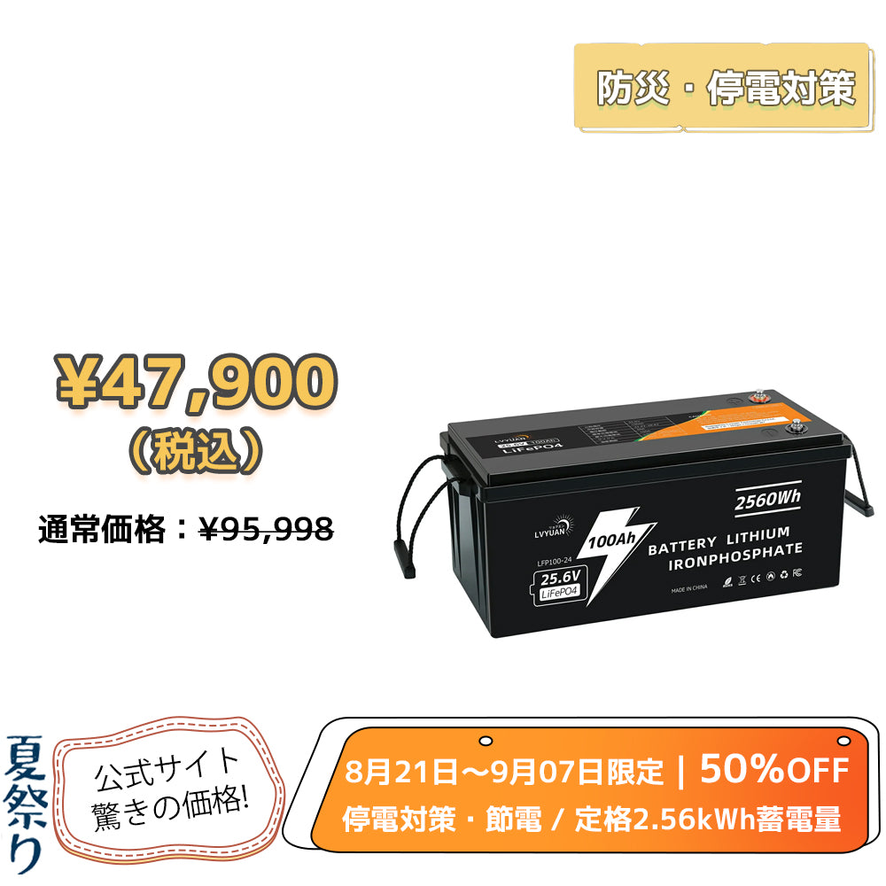 LVYUAN 25.6V/100Ah 2.56kWhリン酸鉄リチウムイオンバッテリー