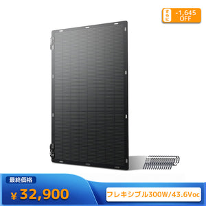 LVYUAN（リョクエン）300W ETFEフレキシブルソーラーパネル