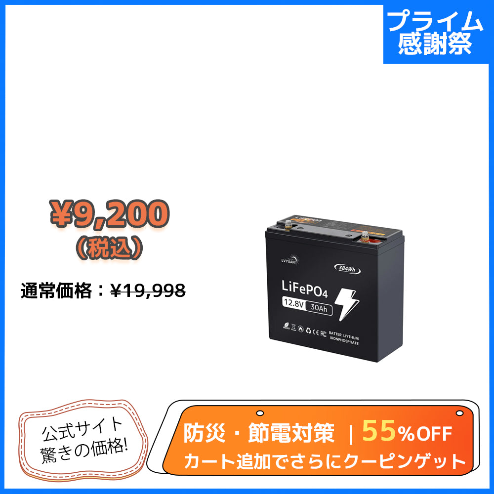 LVYUAN 12.8V/30Ah 384Whリン酸鉄リチウムイオンバッテリー