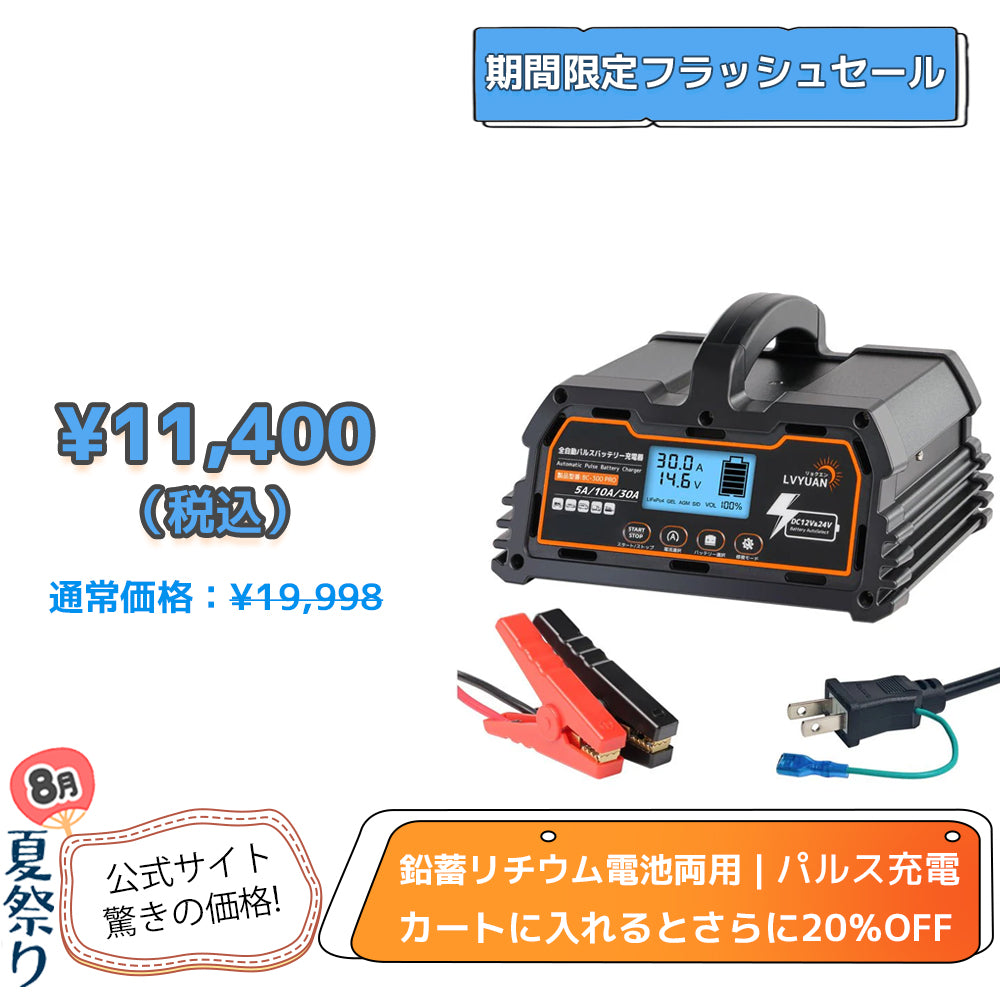 LVYUAN パルスバッテリー充電器 30A  12V・24V鉛蓄 / 12.8Vリチウム電池両用
