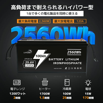 LVYUAN 25.6V/100Ah 2.56kWhリン酸鉄リチウムイオンバッテリー