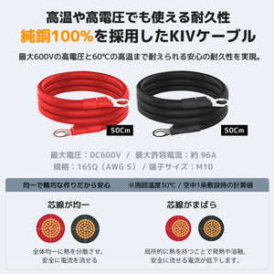 LVYUAN 純正弦波インバーター 1600W DC12V（直流）AC100V（交流）