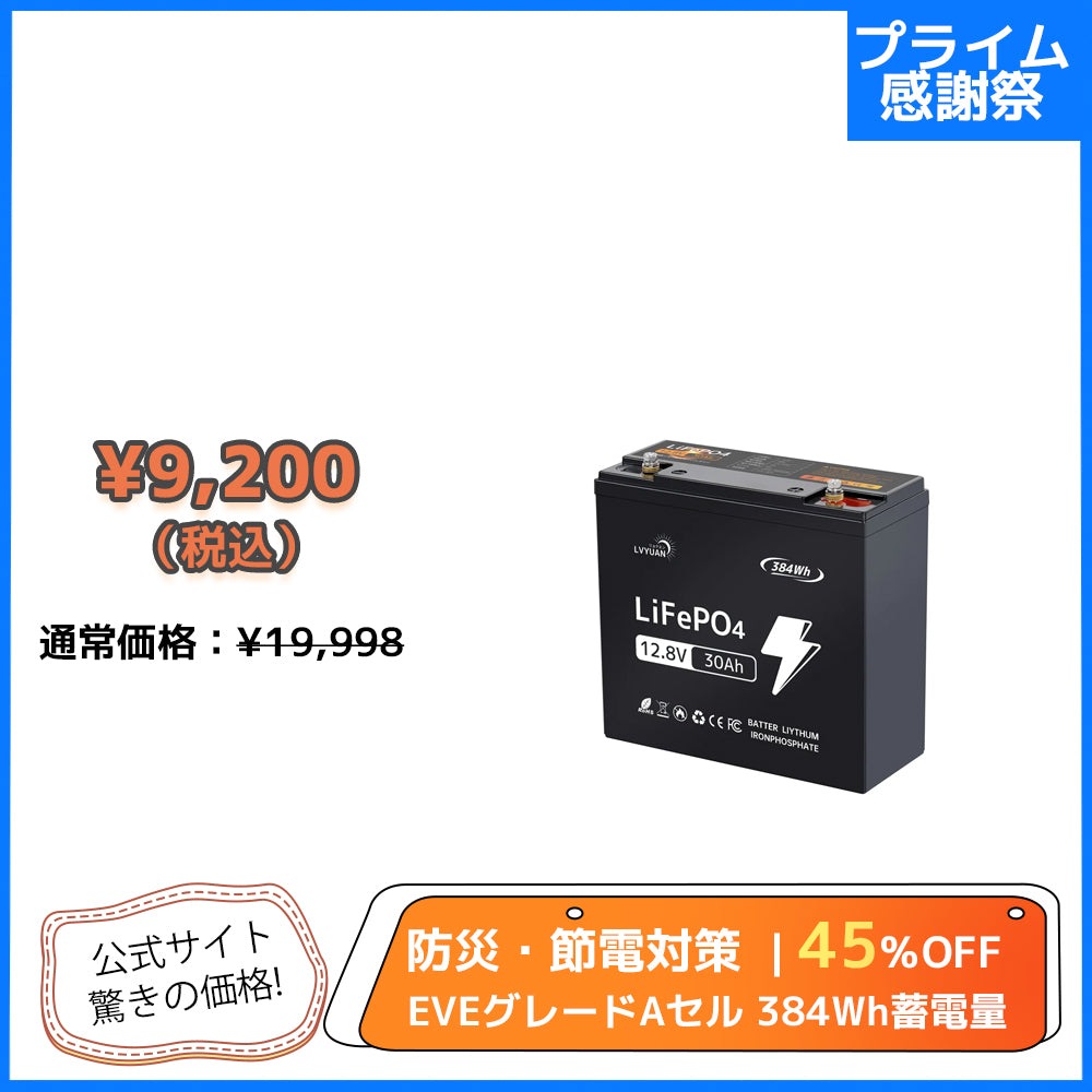 LVYUAN 12.8V/30Ah 384Whリン酸鉄リチウムイオンバッテリー