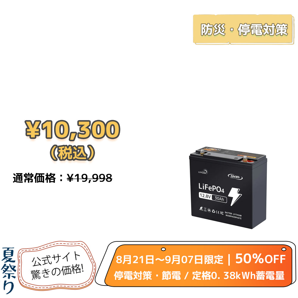 LVYUAN 12.8V/30Ah 384Whリン酸鉄リチウムイオンバッテリー
