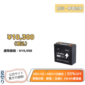 LVYUAN 12.8V/30Ah 384Whリン酸鉄リチウムイオンバッテリー