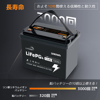 LVYUAN 12.8V/100Ah 1.28kWhリン酸鉄リチウムイオンバッテリー (mini)