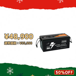 LVYUAN 25.6V/100Ah 2.56kWhリン酸鉄リチウムイオンバッテリー