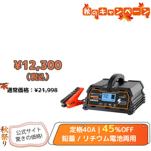 LVYUAN パルスバッテリー充電器 40A  12V・24V鉛蓄 / 12.8Vリチウム電池両用