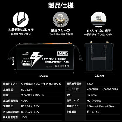 LVYUAN 600W ソーラーパネル発電キット