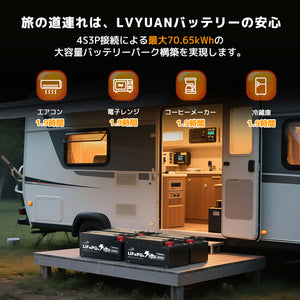 LVYUAN 12.8V/460Ah 5.88kWhリン酸鉄リチウムイオンバッテリー