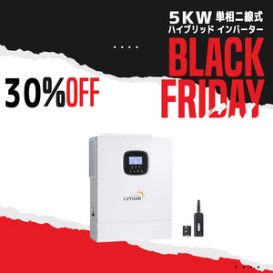 LVYUAN 5000W単相二線式ハイブリッド インバーター