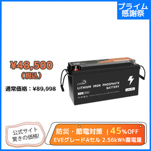 LVYUAN 12.8V/200Ah 2.56kWhリン酸鉄リチウムイオンバッテリー