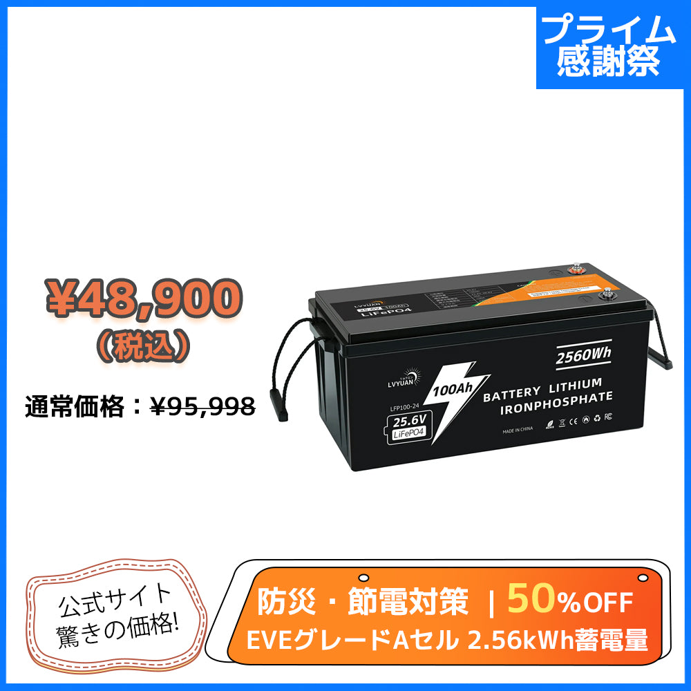 LVYUAN 25.6V/100Ah 2.56kWhリン酸鉄リチウムイオンバッテリー