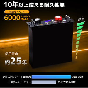 48V 100Ahラックマウント型LiFePO4蓄電池｜10年保証・5120Wh大容量・壁掛け対応