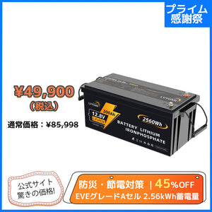 LVYUAN 12.8V/200Ah 2.56kWhリン酸鉄リチウムイオンバッテリー