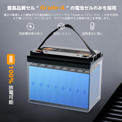 LVYUAN 12.8V/100Ah 1.28kWhリン酸鉄リチウムイオンバッテリー (mini)