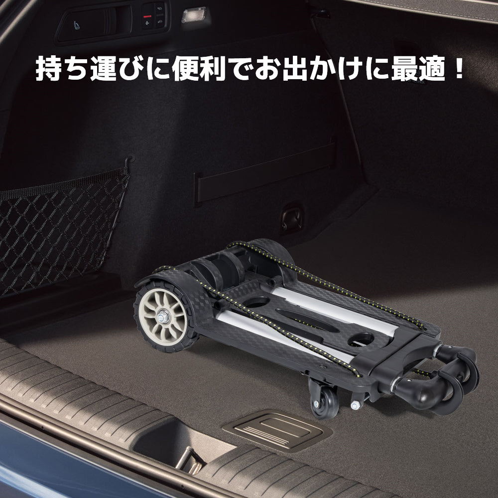 LVYUAN(リョクエン)折りたたみ式 キャリーカート耐荷重40kg