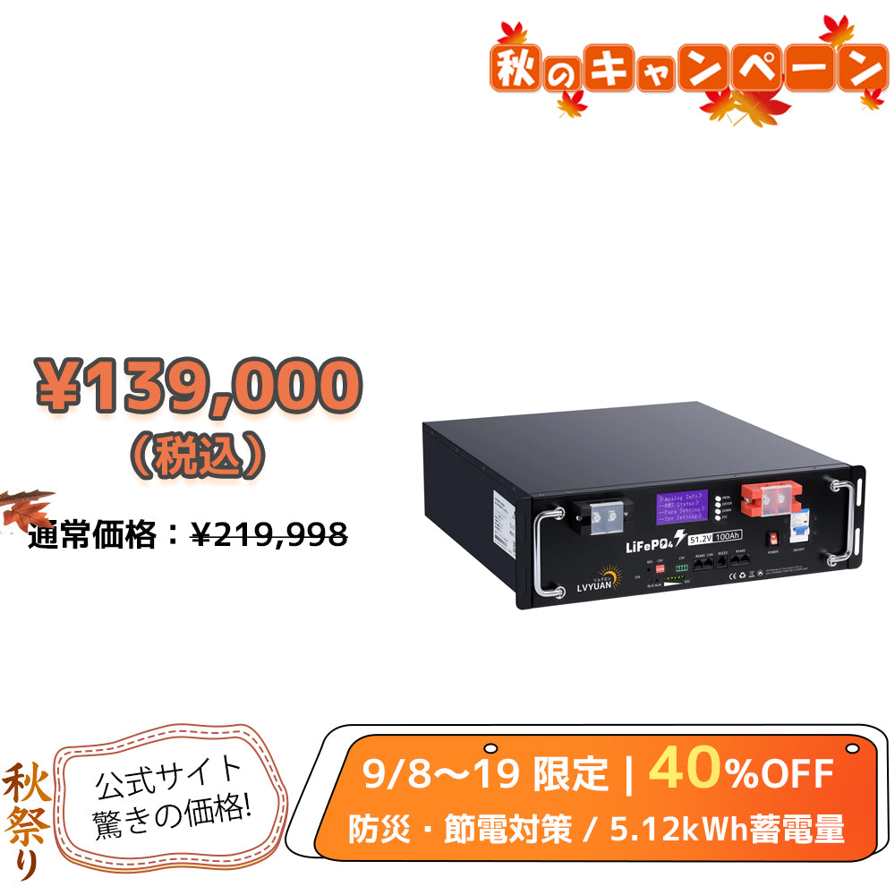 LVYUAN 51.2V/100Ah 5.12kWhリン酸鉄リチウムイオンバッテリー ラック型