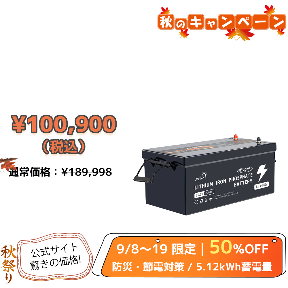 LVYUAN 25.6V/200Ah リン酸鉄リチウムイオンバッテリー