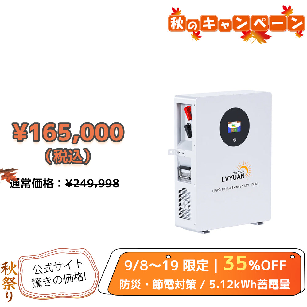 LVYUAN 51.2V/100Ah 5.12kWhリン酸鉄リチウムイオンバッテリー