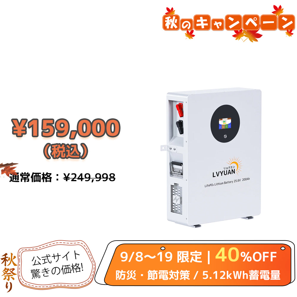 LVYUAN 25.6V/200Ah 5.12kWhリン酸鉄リチウムイオンバッテリー