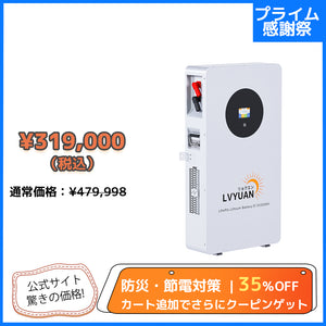 LVYUAN 51.2V/200Ah 10.24kWhリン酸鉄リチウムイオンバッテリー