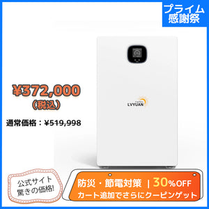 LVYUAN 10.24kWhリン酸鉄リチウムイオンバッテリー Bluetooth付き