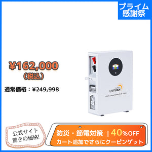 LVYUAN 51.2V/100Ah 5.12kWhリン酸鉄リチウムイオンバッテリー