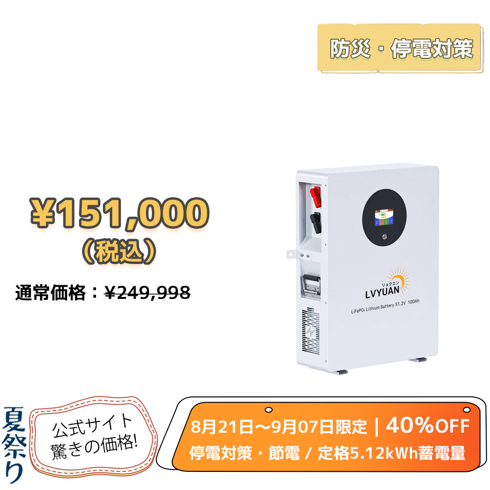 LVYUAN 51.2V/100Ah 5.12kWhリン酸鉄リチウムイオンバッテリー