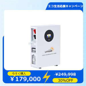 LVYUAN 51.2V/100Ah 5.12kWhリン酸鉄リチウムイオンバッテリー