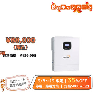LVYUAN 5000W単相二線式ハイブリッド インバーター