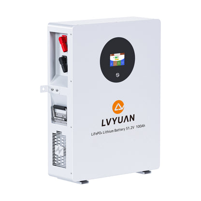 LVYUAN 51.2V/100Ah 5.12kWhリン酸鉄リチウムイオンバッテリー